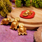 Gold Turtle Coin Wallet Charm – 2 Pack