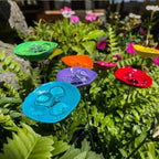 Bee Watering Station.Butter flyPuddler.Hummingbird Drinking Cups