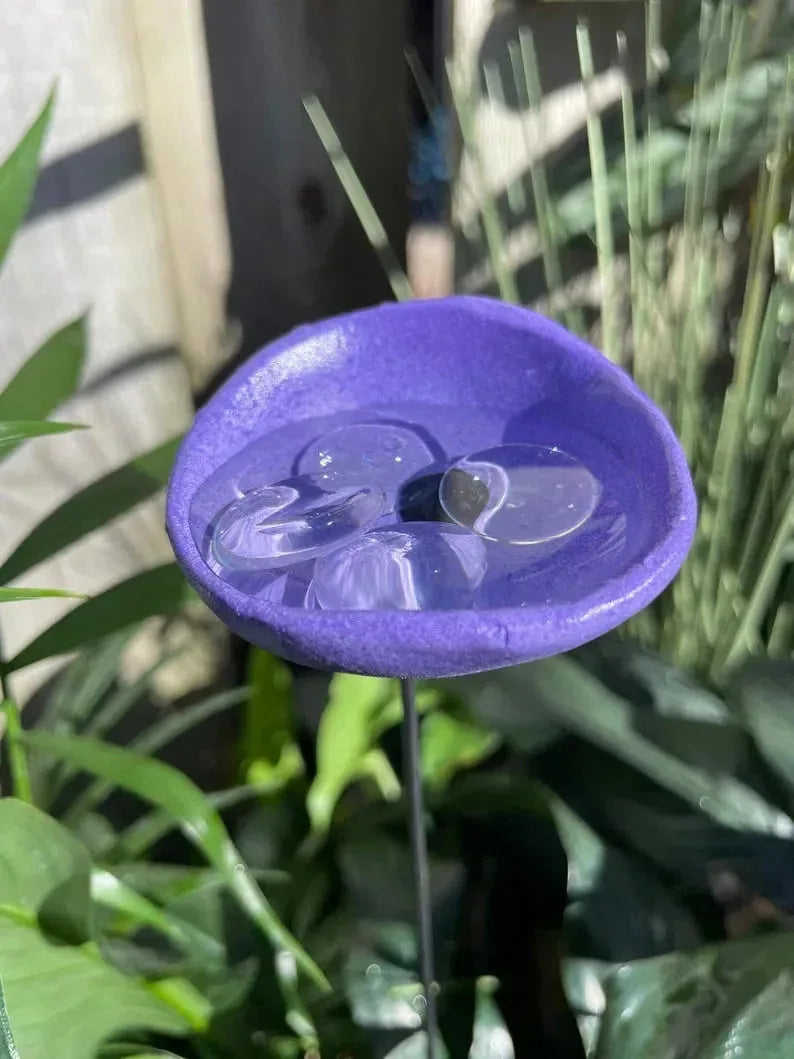 Bee Watering Station.Butter flyPuddler.Hummingbird Drinking Cups