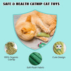 Cactus Catnip Cat Toy Collection