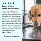 SiopsrlStainless Steel Cat/Dog Water Fountain