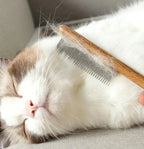 Multifunctional Pet Hair Comb Flea and Tear Stain Removal 2 Pcs