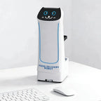 Interactive Food Delivery Robot Toy