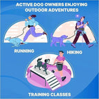 Pet Running Tether Exercise Rope Set Reflective Night Running Sports  Pack
