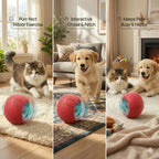 The Ultimate Auto-Moving Chase Ball for Cats & Dogs 2 Pack