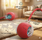 The Ultimate Auto-Moving Chase Ball for Cats & Dogs 2 Pack