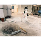 Satsus Copper Rake — Pet Hair Remover for Carpet, Car Mats & Stairs