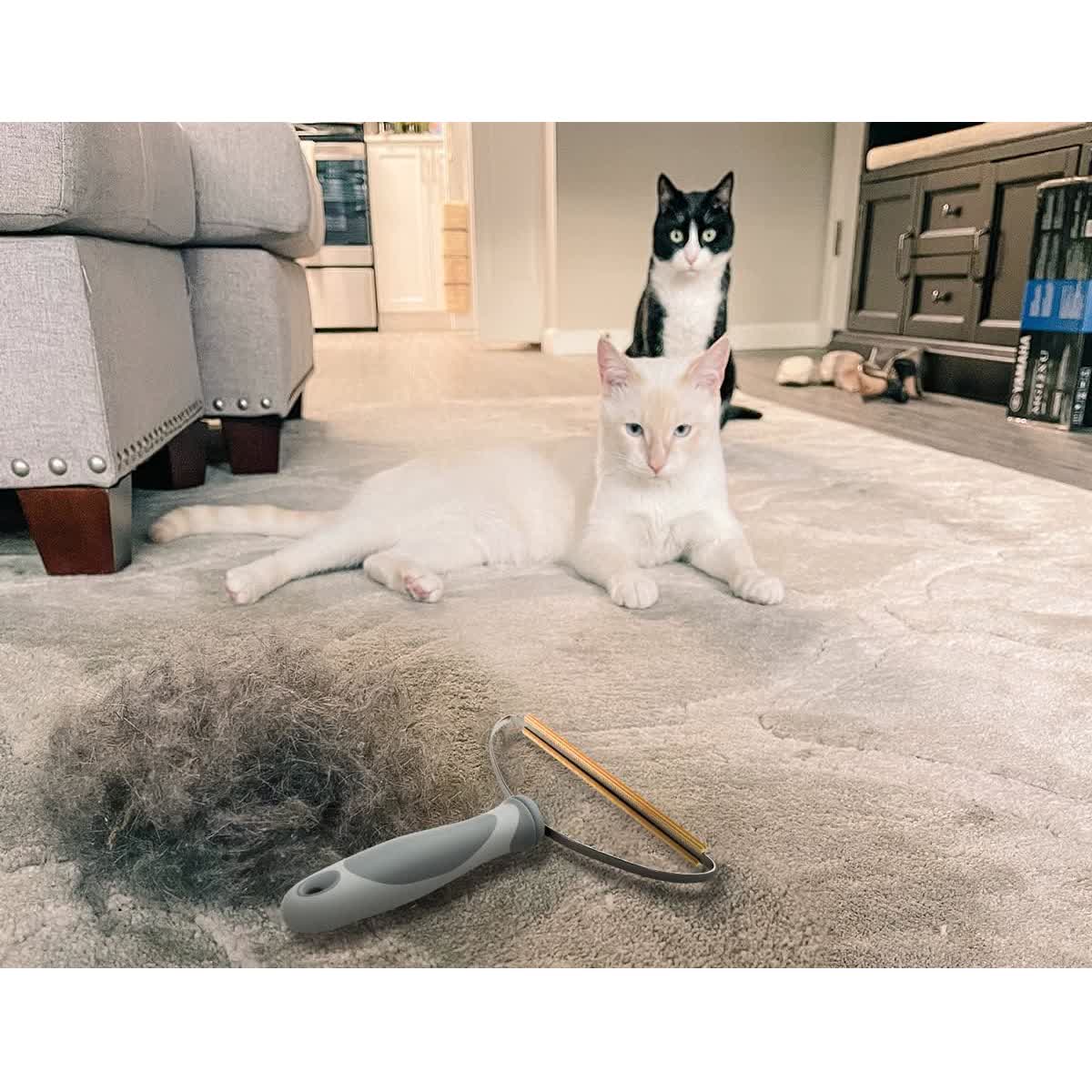 Satsus Copper Rake — Pet Hair Remover for Carpet, Car Mats & Stairs