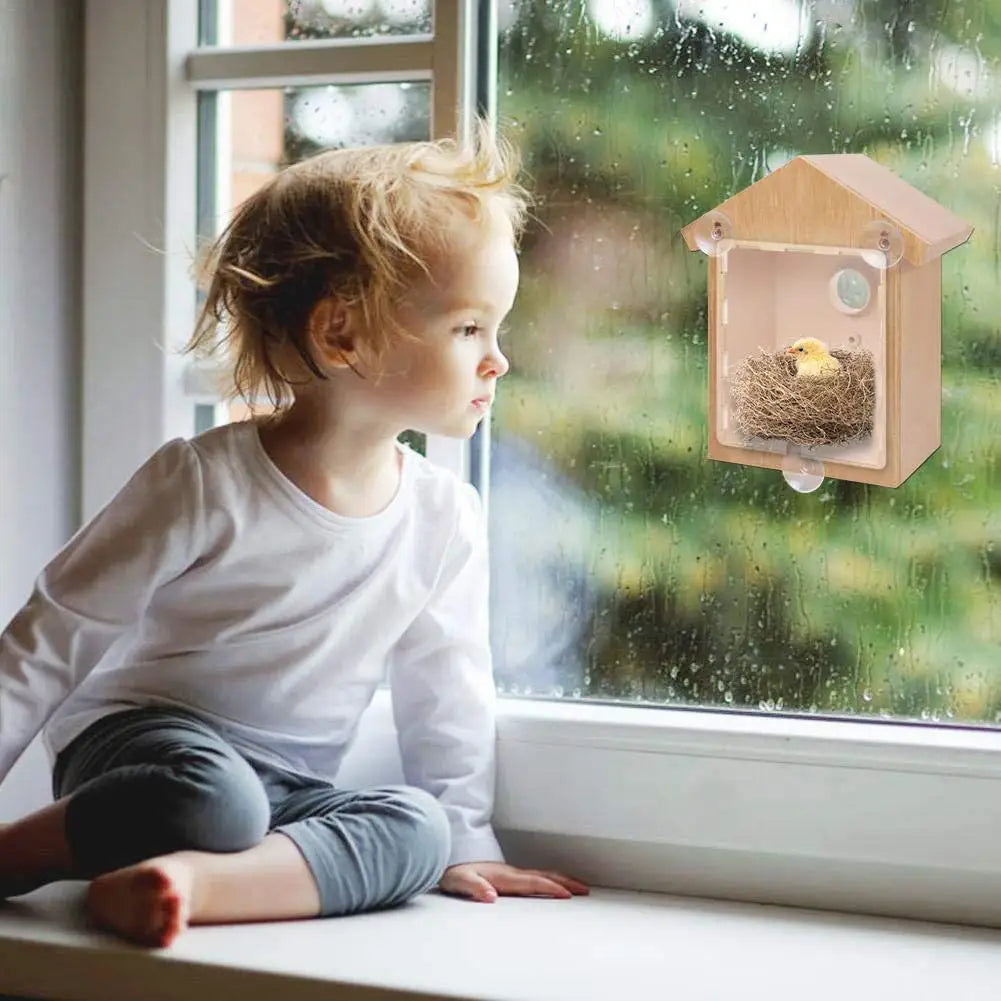 Window View Bird House