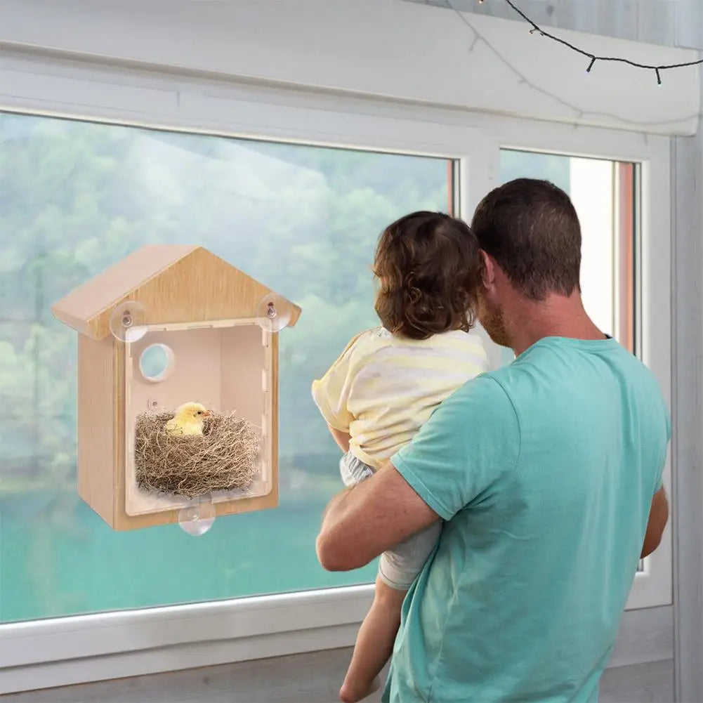 Window View Bird House