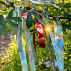 Reflective Bird Scare Tape, 2 Rolls, 2 in x 262 ft Holographic