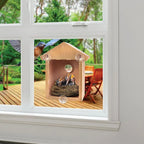 Window View Bird House