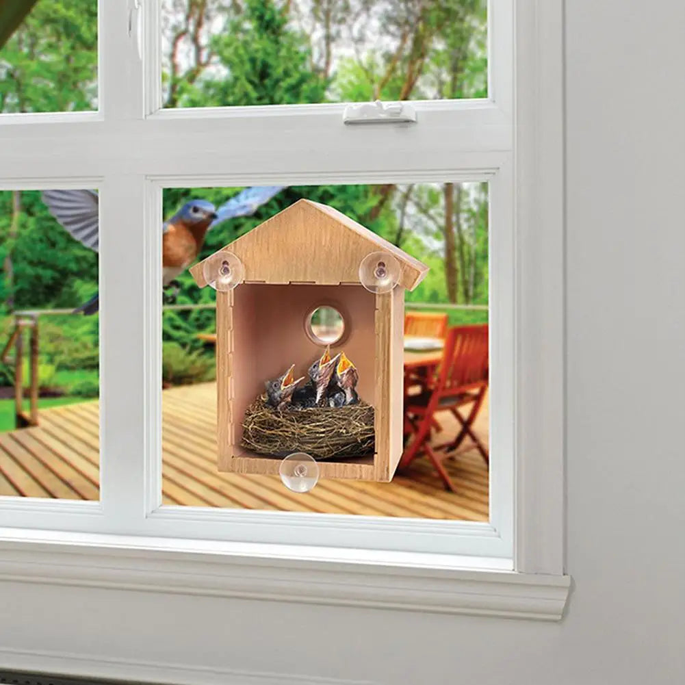 Window View Bird House