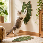 Botanical sisal cat scratcher mat in a leaf shape mounted on a wall with a cat stretching upward.