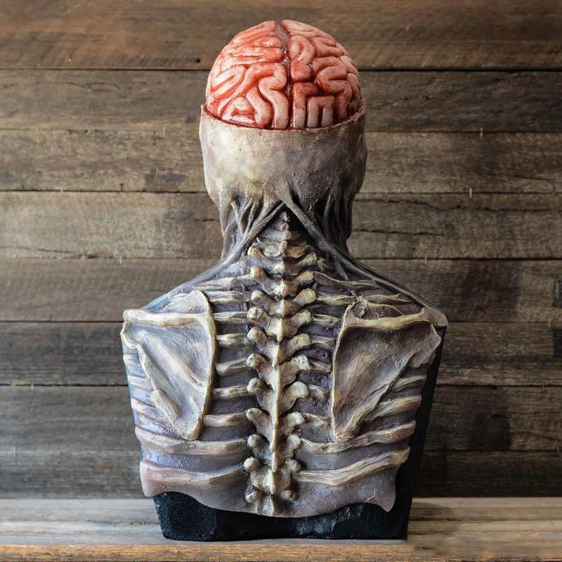 Terrible Skeleton Bioman