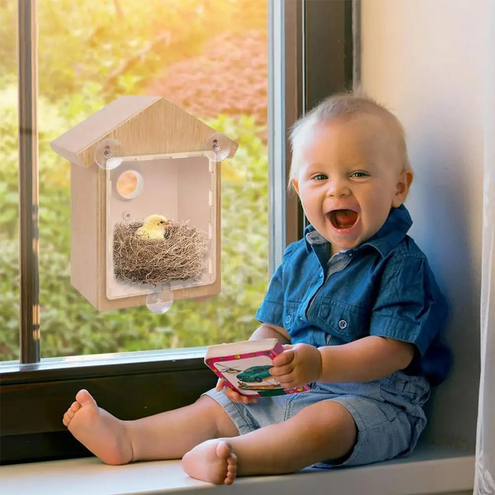 Window View Bird House