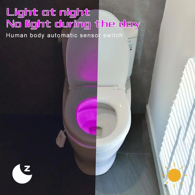 LED Toilet Light with Motion Sensor – Practical Gift