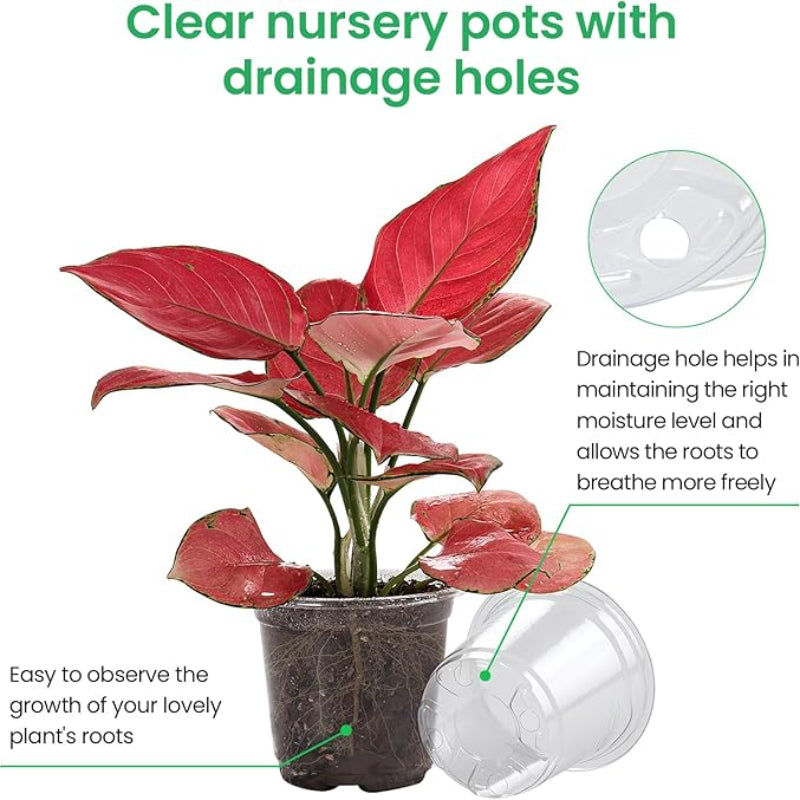 15 pack Transparent Seedling Pots for Easy Root Monitoring and Growth