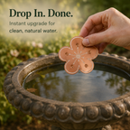 Copper Bird Bath Algae Control Disc for Cleaner Water