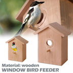 Window View Bird House