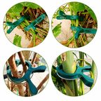 20PCS Plant Support Clips for Garden Stakes and Climbing Plants