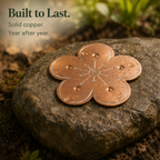 Copper Bird Bath Algae Control Disc for Cleaner Water