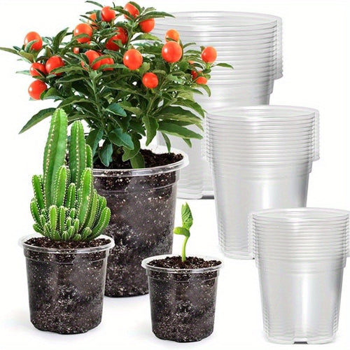 15 pack Transparent Seedling Pots for Easy Root Monitoring and Growth