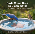 Pure Copper Leaf Bird Bath Purifier for Algae Control