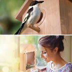 Window View Bird House