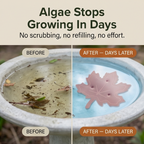 Pure Copper Leaf Bird Bath Purifier for Algae Control