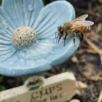 Flower Shaped Bee Watering Station for Garden and Outdoor Use