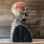 Terrible Skeleton Bioman