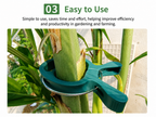 20PCS Plant Support Clips for Garden Stakes and Climbing Plants