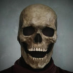 Terrible Skeleton Bioman