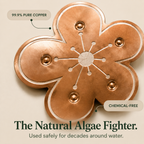 Copper Bird Bath Algae Control Disc for Cleaner Water