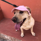Satsus| Dog hat