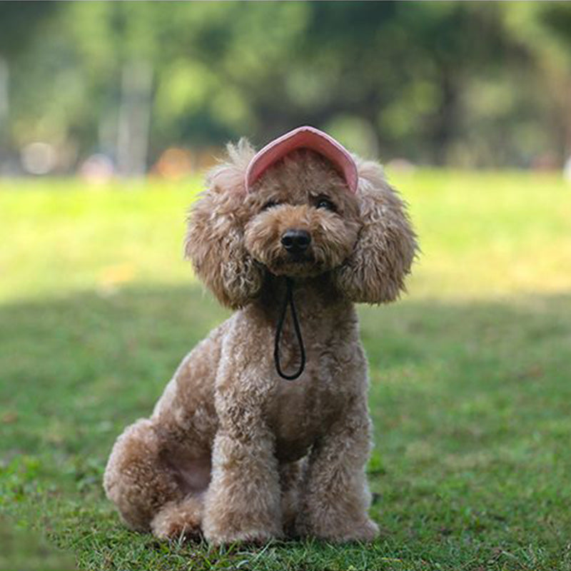 Satsus| Dog hat