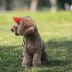 Satsus| Dog hat